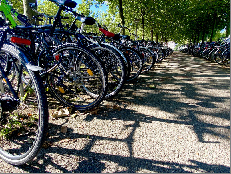 Fahrradsegnung.jpeg